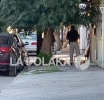 Piquetes Arriba y Abajo